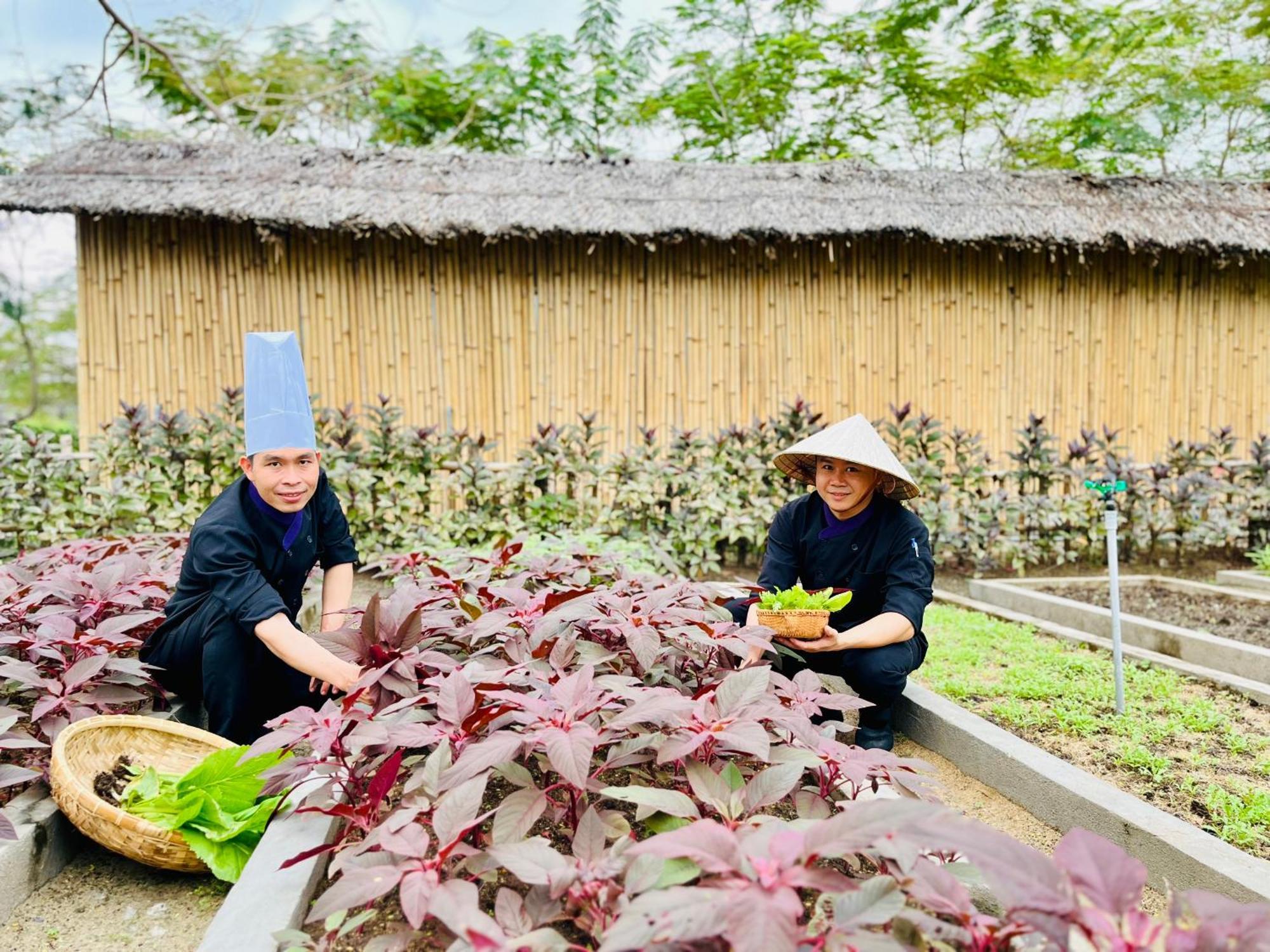 Ttc Van Phong Bay Resort - Himalaya Sauna & Steam Retreat Included Ninh Hoa Luaran gambar