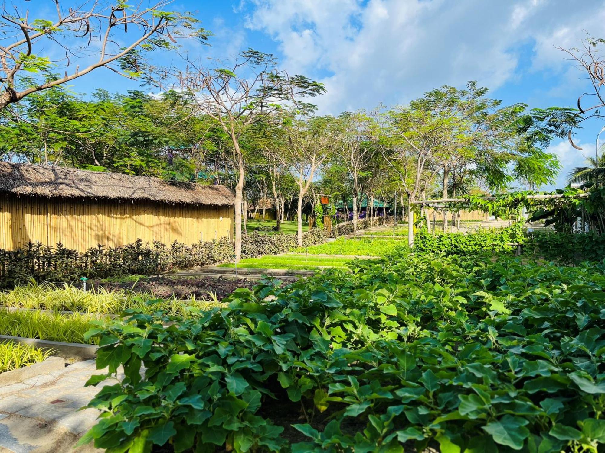 Ttc Van Phong Bay Resort - Himalaya Sauna & Steam Retreat Included Ninh Hoa Luaran gambar